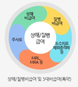 상해-질병-급여-비급여