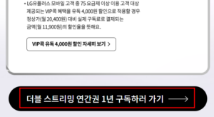 더블-스트리밍-구독하러-가기