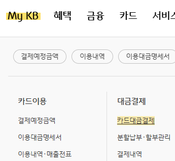 대금결제-카드대금결제