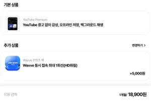 유튜브-프리미엄-웨이브-구독