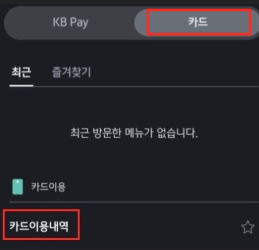 카드-이용내역