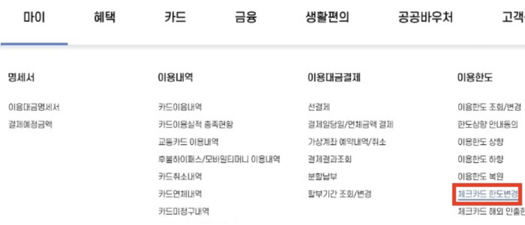 체크카드-한도변경