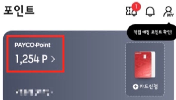 페이코-포인트-확인