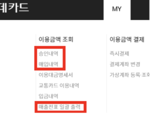 롯덷카드-이용금액-조회