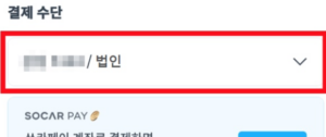 법인카드-결제