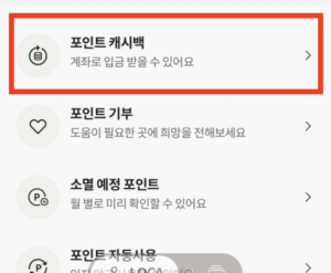포인트-캐시백