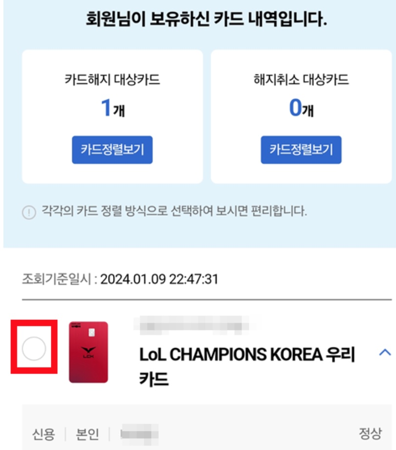 보유-카드-내역